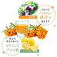 Seaberry沙棘柚子汁 360ml 【シーベリージュース（柚子） 】Seaberry Juice